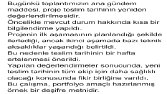 Ses kayıtlarını yazılı metin haline getirebilirim. El yazısı metinleri düzenli metin haline getirebilirim. İmla ve noktalama konusuna özen gösteririm. 