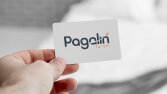 Pagalin Turizm - Logo Tasarımı