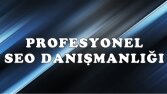 Profesyonel Seo Danışmanlığı