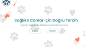 Web Sitesi Tasarım Düzenleme ve Güncelleme