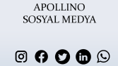 APOLLINO - SOSYAL MEDYA DANIŞANI
