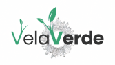 VelaVerde – Dikey Tarım Markası İçin Logo Tasarımı