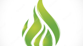 Flame Logo Tasarımı