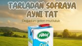 Sosyal medya tasarımları