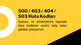 WordPress Hata Giderme