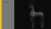Creature Design
