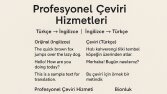 Ayşen’in çeviri portfolyosu