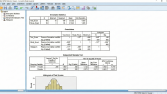 SPSS ANALİZİ