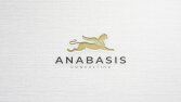 Logo Designs