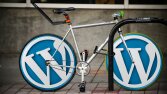 Ben sizin için responsive wordpress sitesi yapabilirim