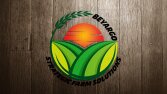 Uyarlama logo tasarımı