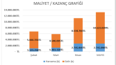 Maliyet Analizi ve Gider Kontrolü Çalışması