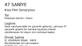 Profesyonel Senaryo ve Metin Yazarlığı