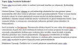 Yapay Zeka Nedir? Nerede Kullanılır?