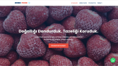 Özel Yazılım ile Geliştirilmiş Web Projeleri