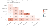 Spearman Korelasyon Isı Haritası