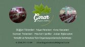 Logo, Kartvizit, Kapak Fotoğrafı, İnstagram Postu Tasarımı