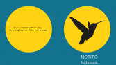 Notito Kitap kapağı tasarımları
