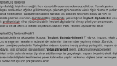 SEO uyumlu web sitesi içeriği