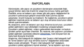 Temel Düzey Veri Analiz Örnek 
