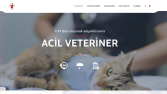 Wordpress Altyapılı Websitesi