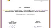 yaratıcı senaryo yazarlığı