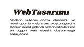 Profesyonel Web Sitesi