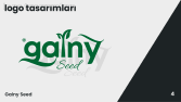 Gainy - Logo Tasarımı