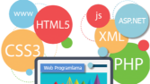 Web Geliştirme & Tasarım 