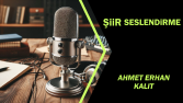 Şiir seslendirmesi