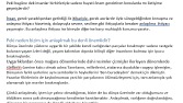 Konuşmanın Gerekliliği ve Anlaşılma Üzerine
