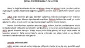 Hatay Zeytini (Ürün Tanıtımı)