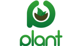 Plant - Hikayeli Logo Tasarımı