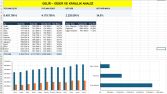 Excel Gelir-Gider ve Kârlılık Analizi