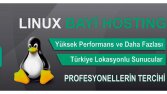 hosting domain web site hizmeti