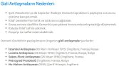 Google'da ilk sırada bulunan yazılarım.