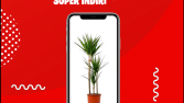 Anneler Günü Seslendirme