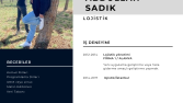 Profesyonel ve Özgün CV Hazırlama Hizmeti (Word & PDF)