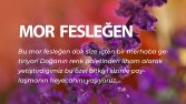 Gönülbağı instagram post tasarımı 