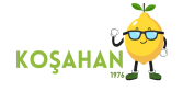 Koşahan klasik logo tasarımı
