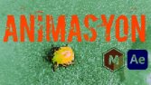 Animasyon Çözümleri 