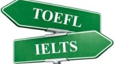PROFESYONEL ÇEVİRİ