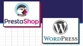 E-Ticaret Sitesi Kurabilirim