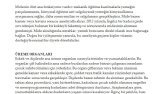Çeviri örnekleri
