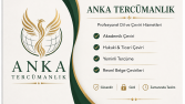 Profesyonel Çeviri Hizmeti