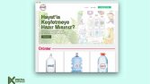 Web Sitesi Tasarımı - İş Örneği