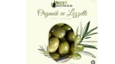 Mert Zeytin 2