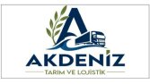 Logo Tasarım