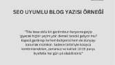 SEO Uyumlu Blog İçeriği Örneği