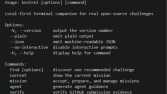 Terminal tabanlı Kodlama Arkadaşı